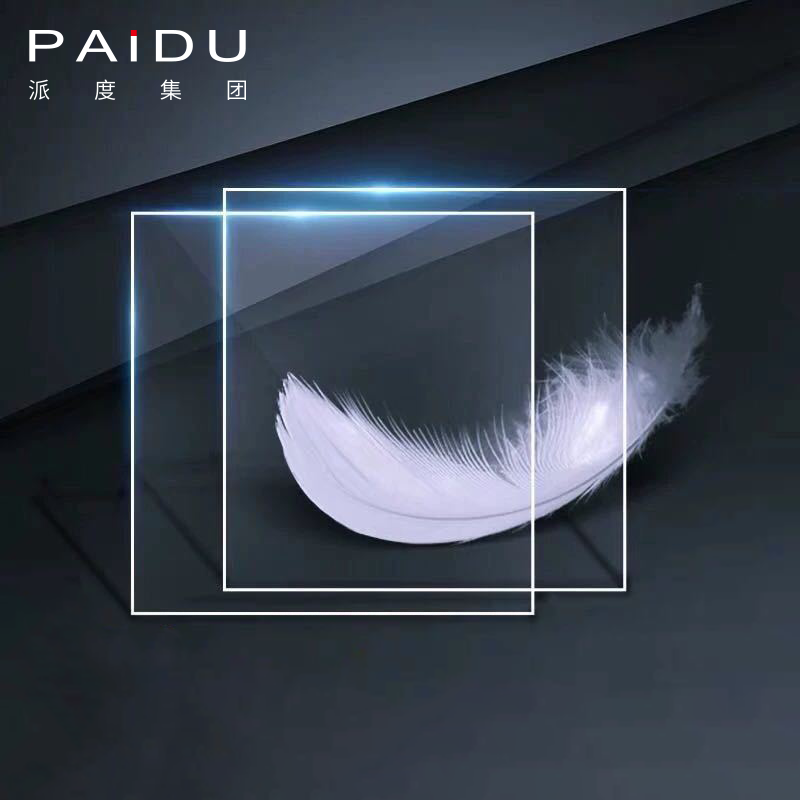 Paidu Group Top quality Super Clear all color no fade opal white flat waterproof 1220*2440mm 10mm cast acrylic sheet