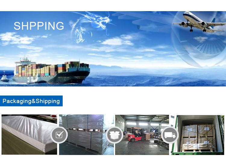 Paidu GroupPaidu Group ABS Vacuum Forming Sheets ABS Plastic sheet ABS SHEET