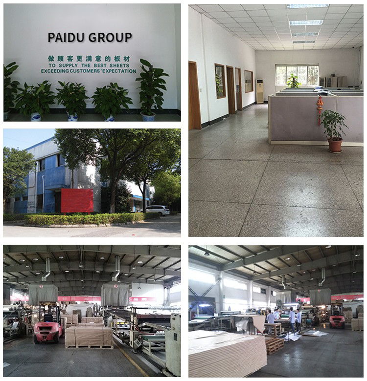 Paidu Group 2023 Newest ABS Board/ ABS Plastic Sheet / ABS Panel By Wholesale